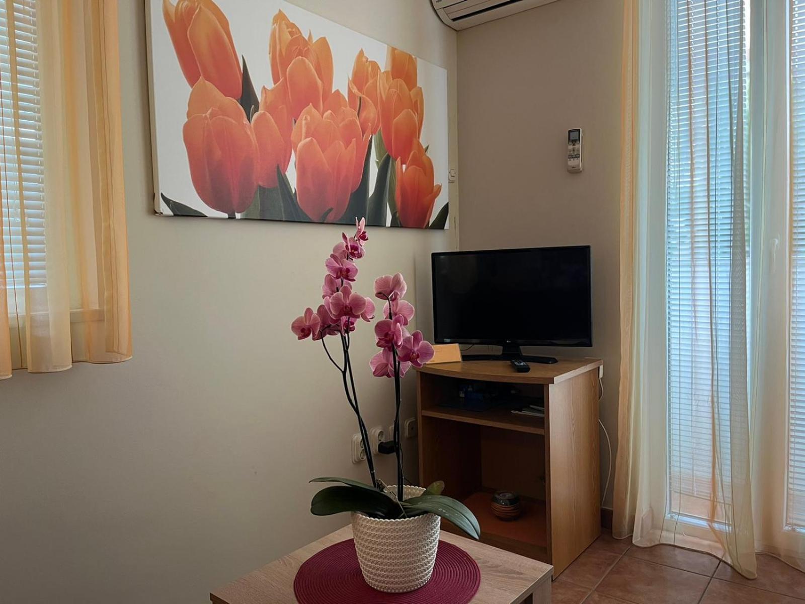 Family Apartments Suzi โรวีน ภายนอก รูปภาพ